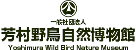 (一社)芳村野鳥自然博物館｜生命の源流を知る